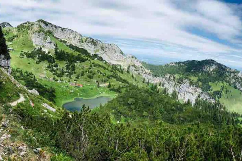 Topmodernes Studio - Sommer Im Bayerischen Inntal Brannenburg Εξωτερικό φωτογραφία