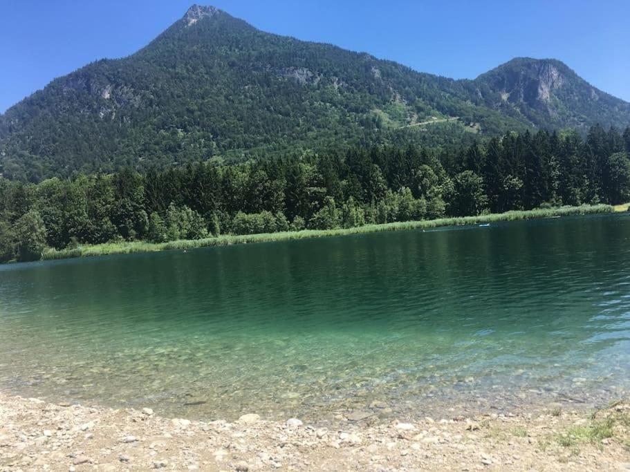 Topmodernes Studio - Sommer Im Bayerischen Inntal Brannenburg Εξωτερικό φωτογραφία